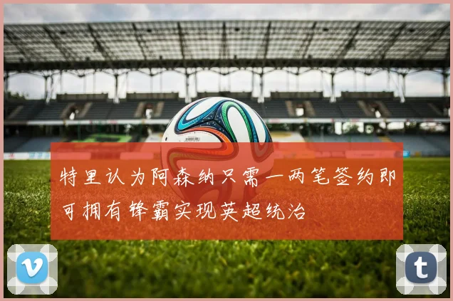特里认为阿森纳只需一两笔签约即可拥有锋霸实现英超统治