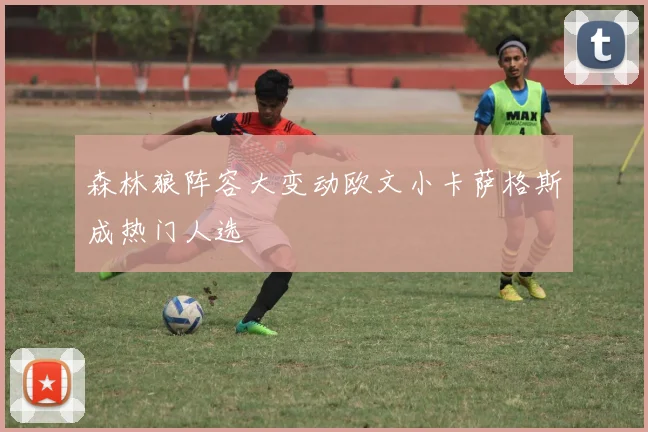 森林狼阵容大变动欧文小卡萨格斯成热门人选
