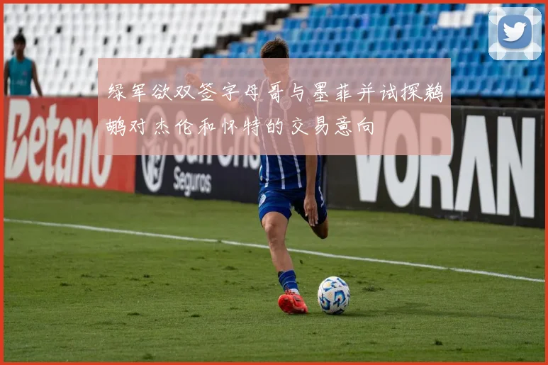 绿军欲双签字母哥与墨菲并试探鹈鹕对杰伦和怀特的交易意向